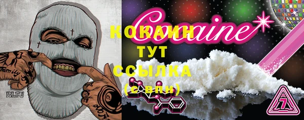 шишки Армянск
