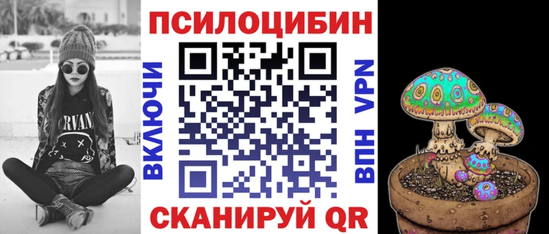 МЕГА как зайти  Белокуриха  Галлюциногенные грибы Psilocybe  что такое  